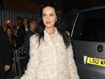 Katy Perry und Co.: Haustier-Stress